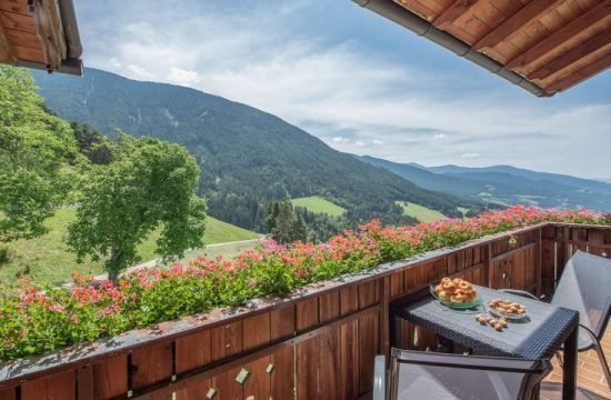 apartments-eisacktal-bressanone-south-tyrol (5)