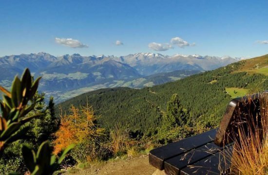 nussbaumerhof-brixen-eisacktal-suedtirol (12)