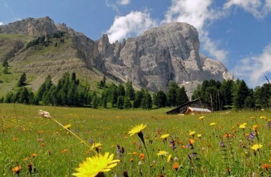 nussbaumerhof-brixen-eisacktal-suedtirol (32)