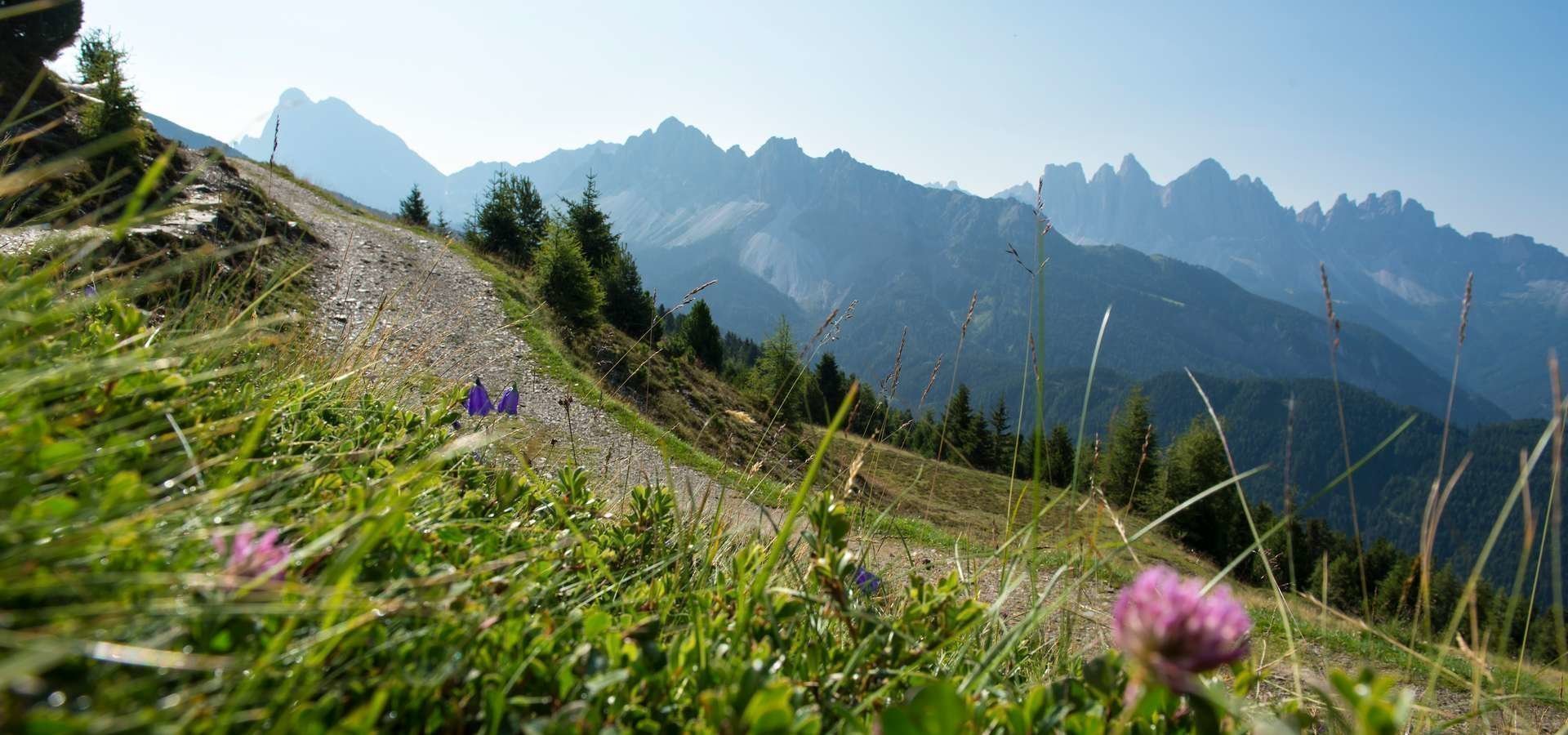 Plose Brixen Sommer Wandern Familie Geniessen 